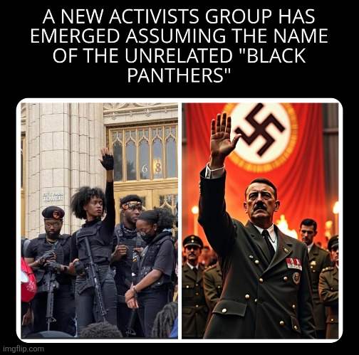 BLACK PANTHERS | image tagged in new activists group emerges,democrats,political meme,politics,activism | made w/ Imgflip meme maker