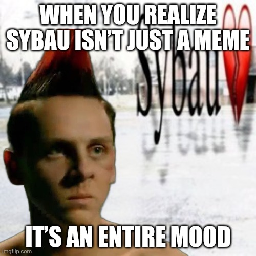 cobra kai hawk sybau | WHEN YOU REALIZE SYBAU ISN’T JUST A MEME; IT’S AN ENTIRE MOOD | image tagged in sybau empty | made w/ Imgflip meme maker