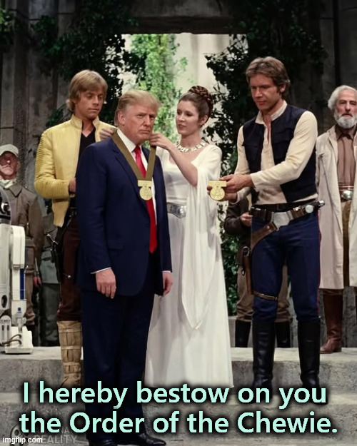 Trump Nobel Prize Star Wars medal award | I hereby bestow on you 
the Order of the Chewie. | image tagged in trump nobel prize star wars medal award,trump,nobel prize,star wars,chewbacca,medal | made w/ Imgflip meme maker