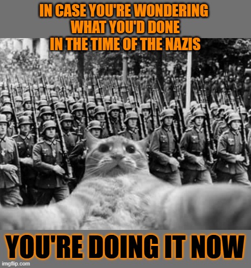 This #lolcat wonders what you'd done in the time of the nazis | IN CASE YOU'RE WONDERING 
WHAT YOU'D DONE
IN THE TIME OF THE NAZIS; YOU'RE DOING IT NOW | image tagged in nazis,fascism,neo-nazis,lolcat | made w/ Imgflip meme maker