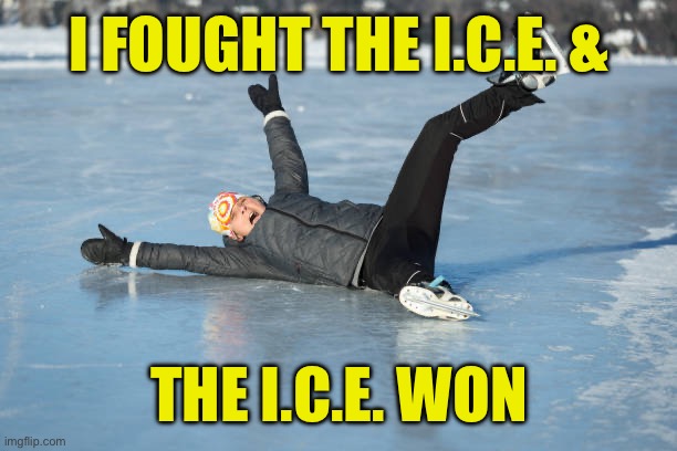 The “Good” Fight | I FOUGHT THE I.C.E. &; THE I.C.E. WON | image tagged in renee good,ice,minneapolis,shooting,ross,illegal immigration | made w/ Imgflip meme maker