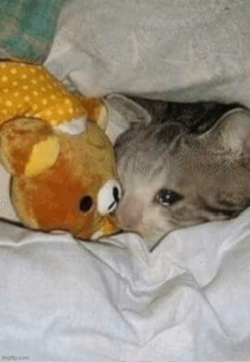 me n who | made w/ Imgflip meme maker