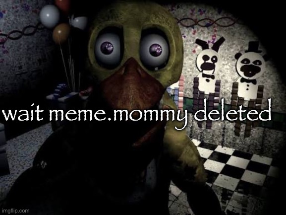 she was rlly nice too :( | wait meme.mommy deleted | image tagged in withered chica staring | made w/ Imgflip meme maker