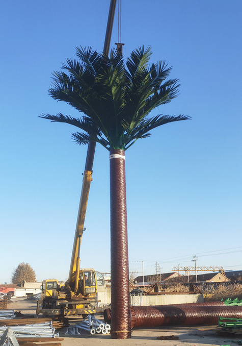 Palm tree cell tower Blank Meme Template