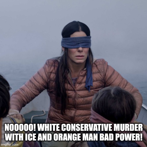 Bird Box Meme | NOOOOO! WHITE CONSERVATIVE MURDER WITH ICE AND ORANGE MAN BAD POWER! | image tagged in memes,bird box | made w/ Imgflip meme maker