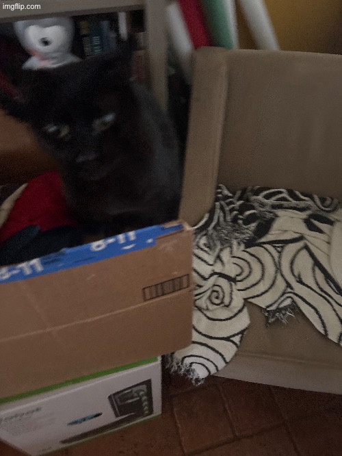 Look at this fucking thing | made w/ Imgflip meme maker