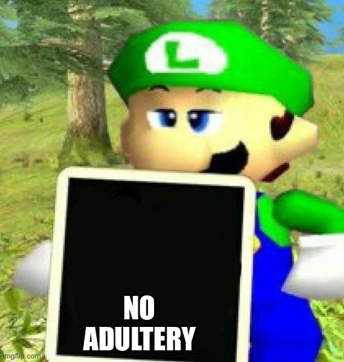 Luigi holding a sign | NO ADULTERY | image tagged in luigi holding a sign | made w/ Imgflip meme maker