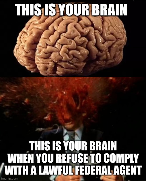 Any questions? | THIS IS YOUR BRAIN THIS IS YOUR BRAIN WHEN YOU REFUSE TO COMPLY WITH A LAWFUL FEDERAL AGENT | image tagged in this is your brain | made w/ Imgflip meme maker