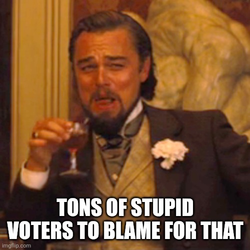 Laughing Leo Meme | TONS OF STUPID VOTERS TO BLAME FOR THAT | image tagged in memes,laughing leo | made w/ Imgflip meme maker