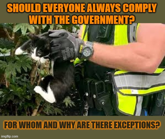 This #lolcat wonders if everyone should always comply with the government | SHOULD EVERYONE ALWAYS COMPLY 
WITH THE GOVERNMENT? FOR WHOM AND WHY ARE THERE EXCEPTIONS? | image tagged in government,comply,fascism,police | made w/ Imgflip meme maker