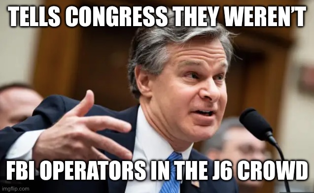 Chris Wray FBI | TELLS CONGRESS THEY WEREN’T FBI OPERATORS IN THE J6 CROWD | image tagged in chris wray fbi | made w/ Imgflip meme maker
