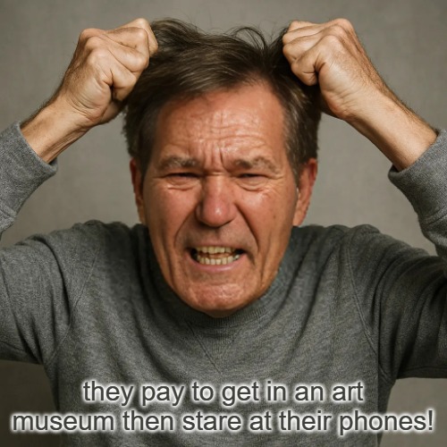 WHY! | they pay to get in an art museum then stare at their phones! | image tagged in why | made w/ Imgflip meme maker