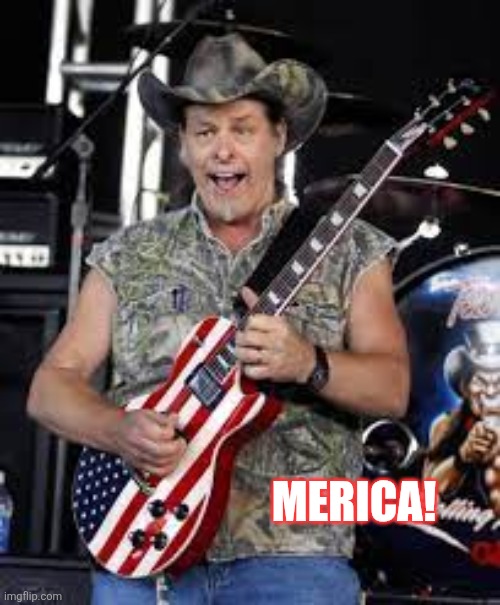ted nugent | MERICA! | image tagged in ted nugent | made w/ Imgflip meme maker