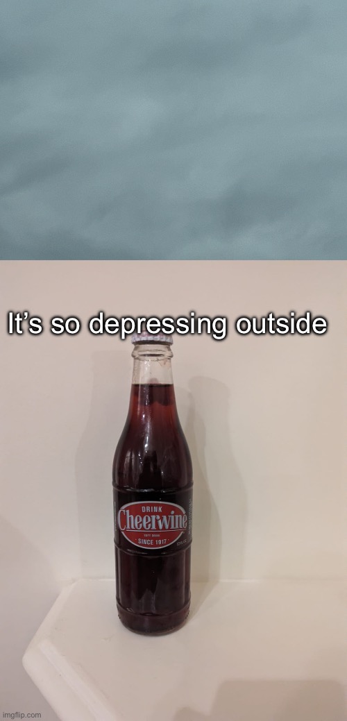 It’s so depressing outside | image tagged in cheerwine | made w/ Imgflip meme maker
