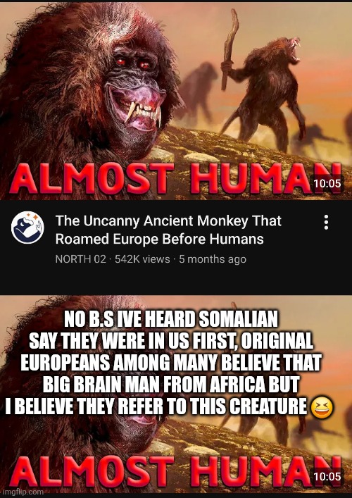 Somalian decode parody | NO B.S IVE HEARD SOMALIAN SAY THEY WERE IN US FIRST, ORIGINAL EUROPEANS AMONG MANY BELIEVE THAT BIG BRAIN MAN FROM AFRICA BUT I BELIEVE THEY REFER TO THIS CREATURE 😆 | image tagged in parody,funny memes | made w/ Imgflip meme maker