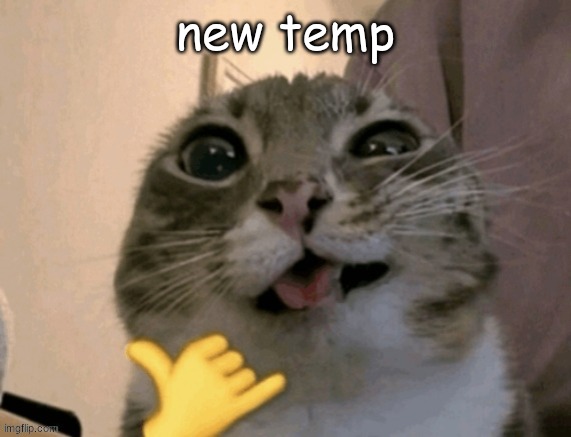 rigby | new temp | image tagged in rigby | made w/ Imgflip meme maker