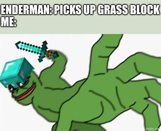 I need that grass block | ENDERMAN: PICKS UP GRASS BLOCK

ME: | image tagged in pepe punch,minecraft | made w/ Imgflip meme maker