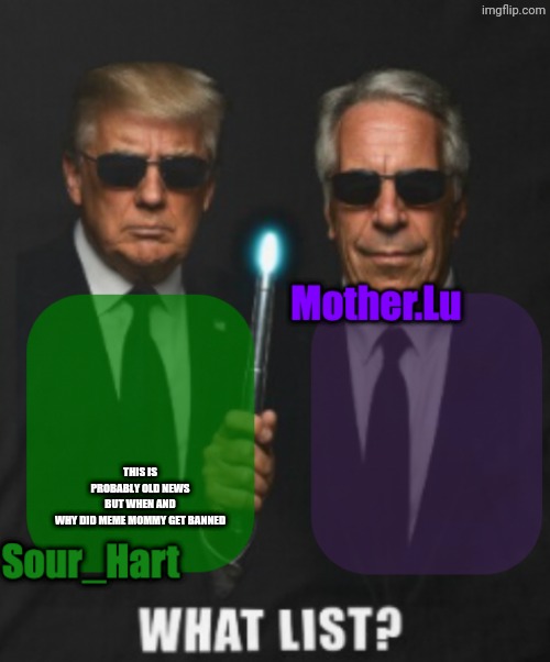 Sour_Hart/Mother.Lu shared temp | THIS IS PROBABLY OLD NEWS BUT WHEN AND WHY DID MEME MOMMY GET BANNED | image tagged in sour_hart/mother lu shared temp | made w/ Imgflip meme maker