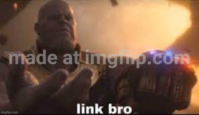 link bro | image tagged in link bro | made w/ Imgflip meme maker