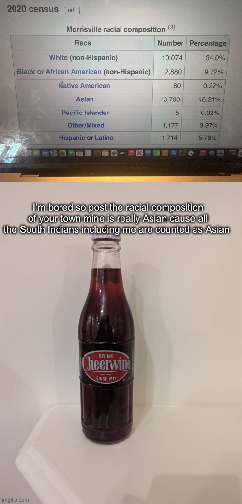 I’m bored so post the racial composition of your town mine is really Asian cause all the South Indians including me are counted as Asian | image tagged in cheerwine | made w/ Imgflip meme maker