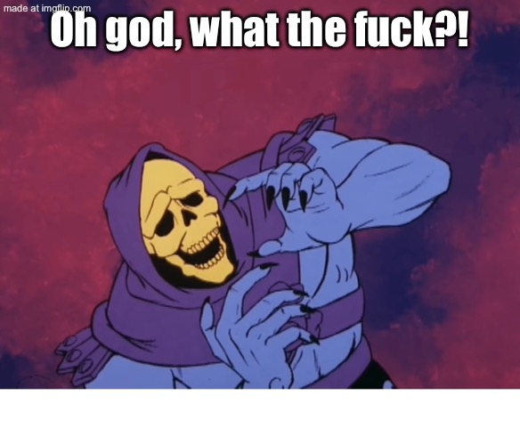 Skeletor Oh God What The Fuck | Oh god, what the fuck?! | image tagged in skeletor oh god what the fuck | made w/ Imgflip meme maker