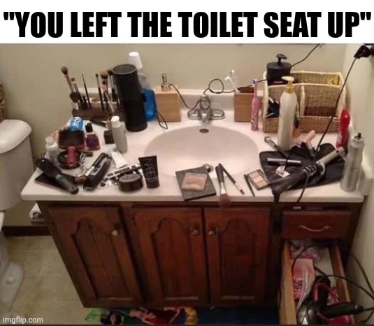 You Left The Toilet Seat Up | "YOU LEFT THE TOILET SEAT UP" | image tagged in chrisjoines1 | made w/ Imgflip meme maker