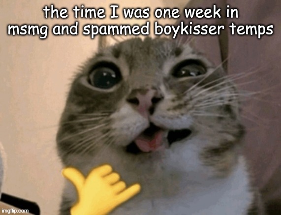 rigby | the time I was one week in msmg and spammed boykisser temps | image tagged in rigby | made w/ Imgflip meme maker