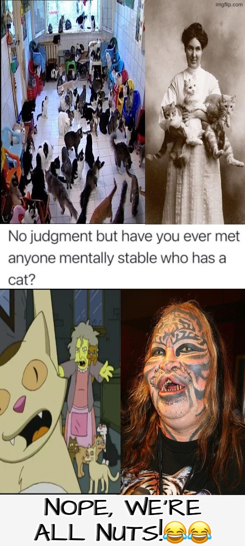 No We're All Nuts | NOPE, WE'RE ALL NUTS!😂😂 | image tagged in cats,funny cats,crazy cat lady,crazy people,mental illness,questions | made w/ Imgflip meme maker