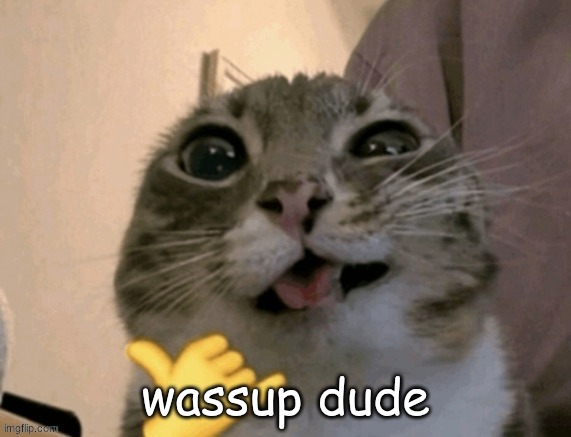 rigby | wassup dude | image tagged in rigby | made w/ Imgflip meme maker