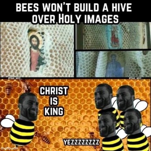 :) | image tagged in bees,jesus,jesus christ,wholesome | made w/ Imgflip meme maker