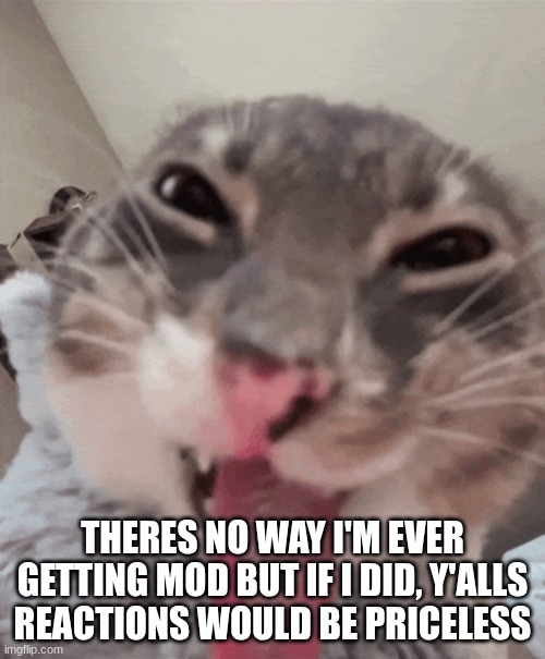 Rigby cat | THERES NO WAY I'M EVER GETTING MOD BUT IF I DID, Y'ALLS REACTIONS WOULD BE PRICELESS | image tagged in rigby cat | made w/ Imgflip meme maker