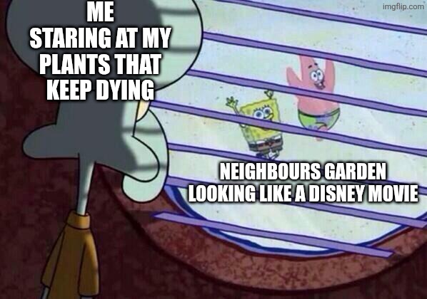 Squidward window | ME STARING AT MY PLANTS THAT KEEP DYING; NEIGHBOURS GARDEN LOOKING LIKE A DISNEY MOVIE | image tagged in squidward window | made w/ Imgflip meme maker
