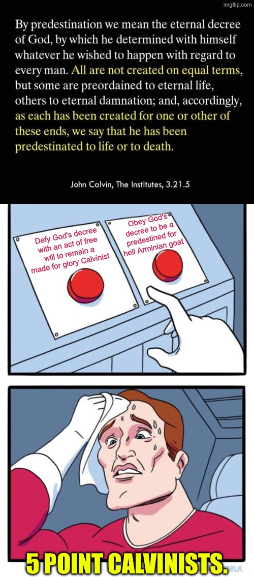 Wow now that's a dilemma | Obey God's decree to be a predestined for hell Arminian goat; Defy God's decree with an act of free will to remain a made for glory Calvinist; 5 POINT CALVINISTS. | image tagged in two buttons,calvinism,calvinist memes,anti calvinism,free will,arminian | made w/ Imgflip meme maker