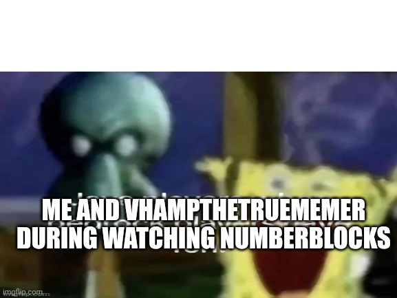 Vhampthetruememer, are you ok? | ME AND VHAMPTHETRUEMEMER DURING WATCHING NUMBERBLOCKS | image tagged in blank white template | made w/ Imgflip meme maker