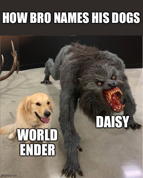 How bro names his dogs | HOW BRO NAMES HIS DOGS; DAISY; WORLD ENDER | image tagged in dog vs werewolf,funny | made w/ Imgflip meme maker