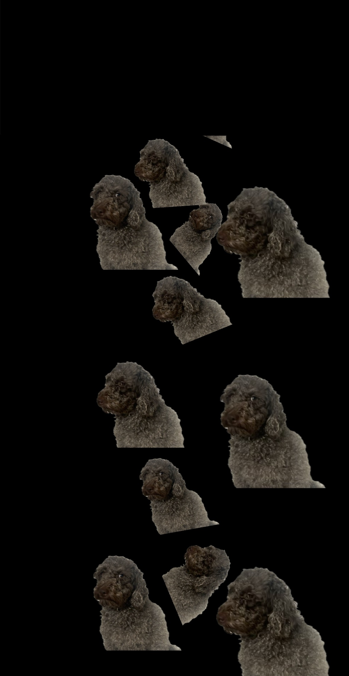 Crunchwrap Supremacy Blank Meme Template