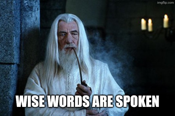 Wise words are spoken  | WISE WORDS ARE SPOKEN | image tagged in wise words are spoken | made w/ Imgflip meme maker