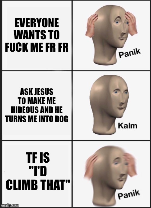 cynocephalus | EVERYONE WANTS TO FUCK ME FR FR; ASK JESUS TO MAKE ME HIDEOUS AND HE TURNS ME INTO DOG; TF IS "I'D CLIMB THAT" | image tagged in memes,panik kalm panik,saints | made w/ Imgflip meme maker