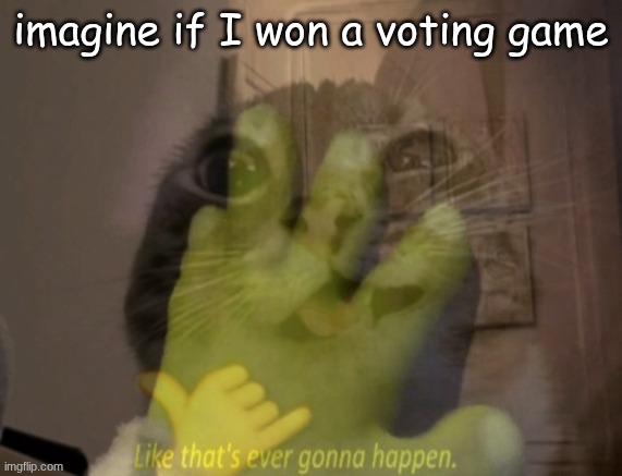 imagine if I won a voting game | made w/ Imgflip meme maker