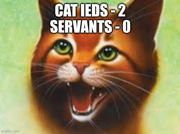 Warrior cats Firestar | CAT IEDS - 2
SERVANTS - 0 | image tagged in warrior cats firestar | made w/ Imgflip meme maker