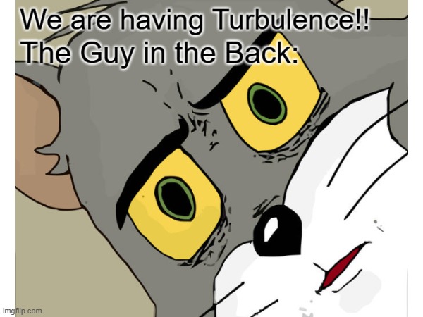 Turbulence. | image tagged in so true memes | made w/ Imgflip meme maker