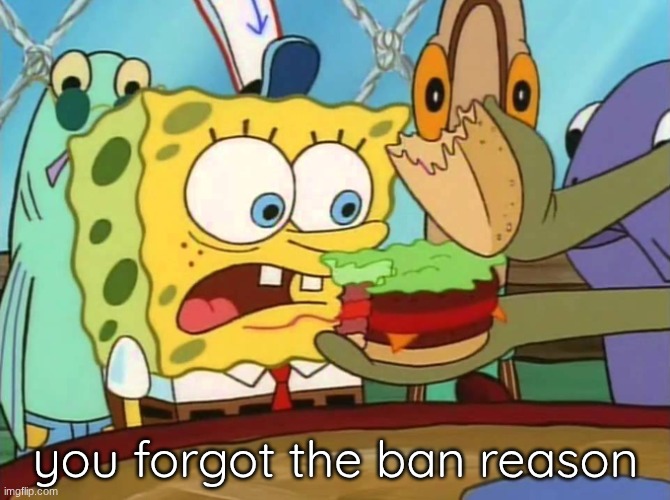 mod abuse: | you forgot the ban reason | image tagged in you forgot the pickles | made w/ Imgflip meme maker
