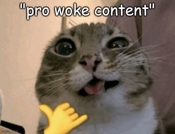 rigby | "pro woke content" | image tagged in rigby | made w/ Imgflip meme maker