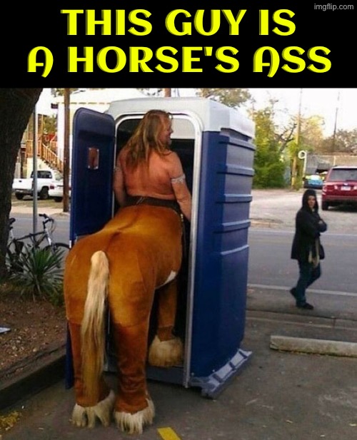 A Horse's Ass | THIS GUY IS A HORSE'S ASS | image tagged in horse,cursed images,what a terrible day to have eyes,excuse me wtf,ass,porta potty | made w/ Imgflip meme maker