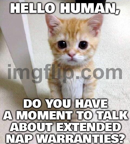 HELLO HUMAN, DO YOU HAVE A MOMENT TO TALK ABOUT EXTENDED NAP WARRANTIES? | HELLO HUMAN, DO YOU HAVE A MOMENT TO TALK ABOUT EXTENDED NAP WARRANTIES? | image tagged in memes,cute cat,human,nap,healthcare,health | made w/ Imgflip meme maker
