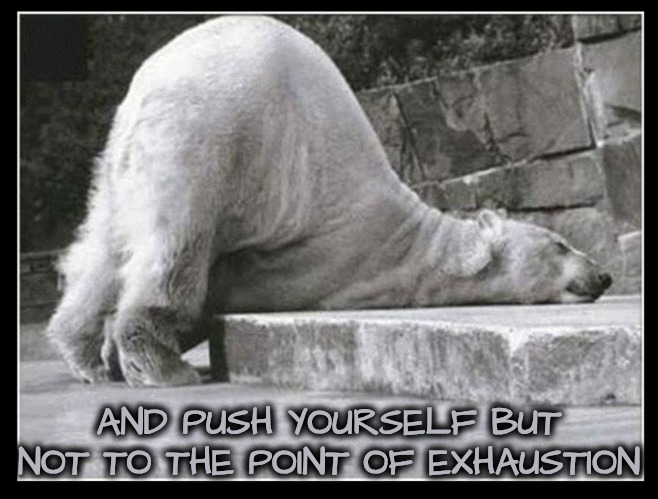Polar bear | AND PUSH YOURSELF BUT NOT TO THE POINT OF EXHAUSTION | image tagged in polar bear | made w/ Imgflip meme maker