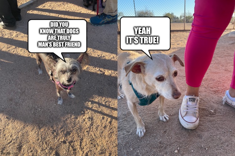 Dog is right | YEAH IT’S TRUE! DID YOU KNOW THAT DOGS ARE TRULY MAN’S BEST FRIEND | made w/ Imgflip meme maker