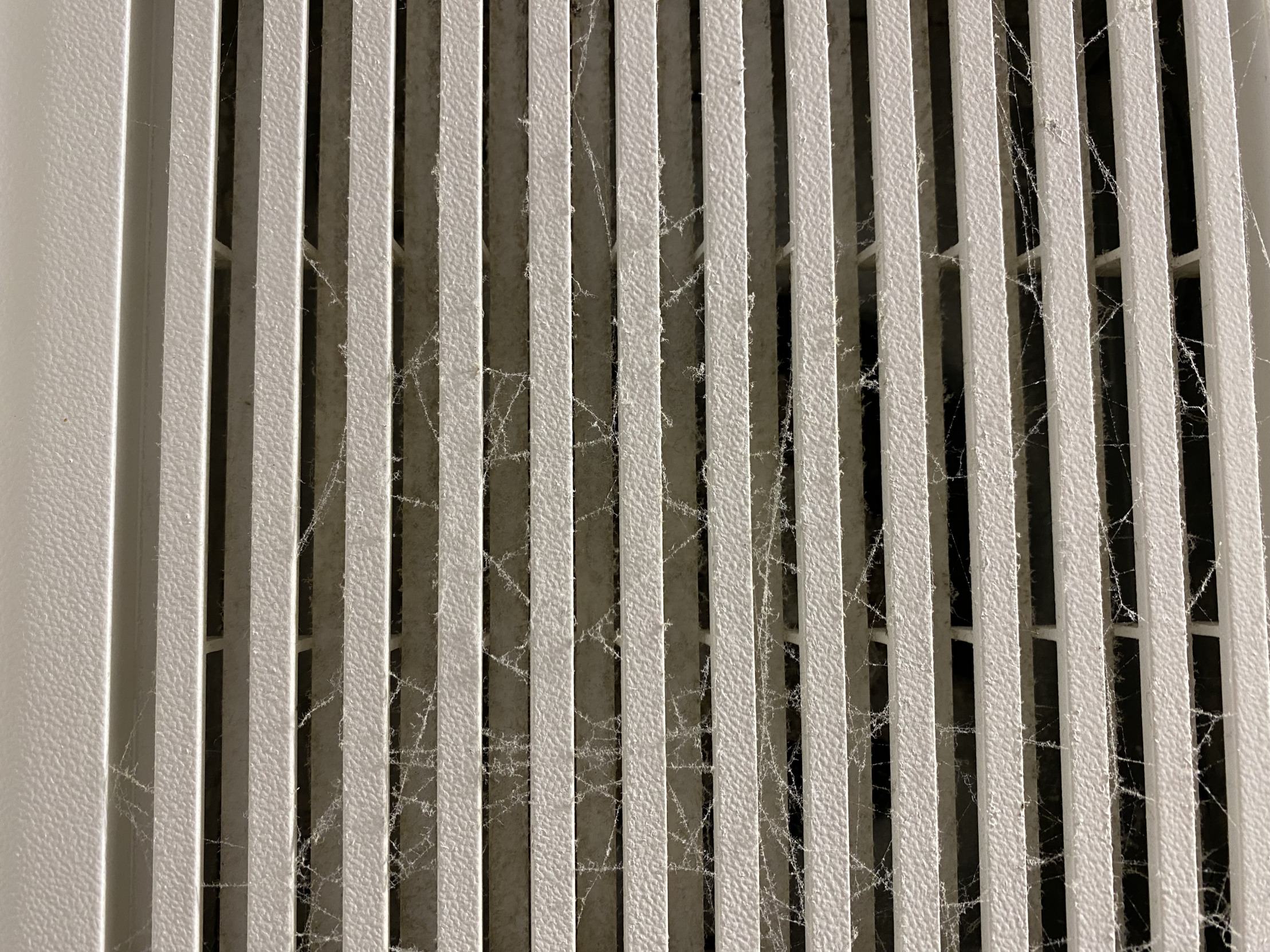 Sober Blank Meme Template