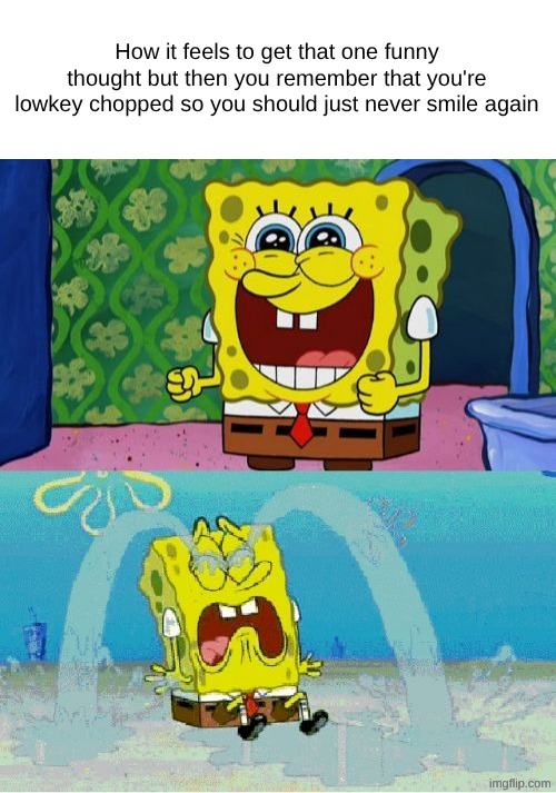spongebob happy and sad | How it feels to get that one funny thought but then you remember that you're lowkey chopped so you should just never smile again | image tagged in spongebob happy and sad | made w/ Imgflip meme maker