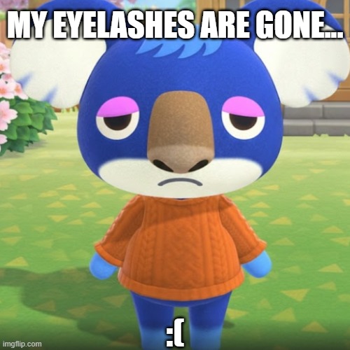Eyelashes-less Yuka | MY EYELASHES ARE GONE... :( | image tagged in ai meme,gemini,yuka,animal crossing,memes | made w/ Imgflip meme maker